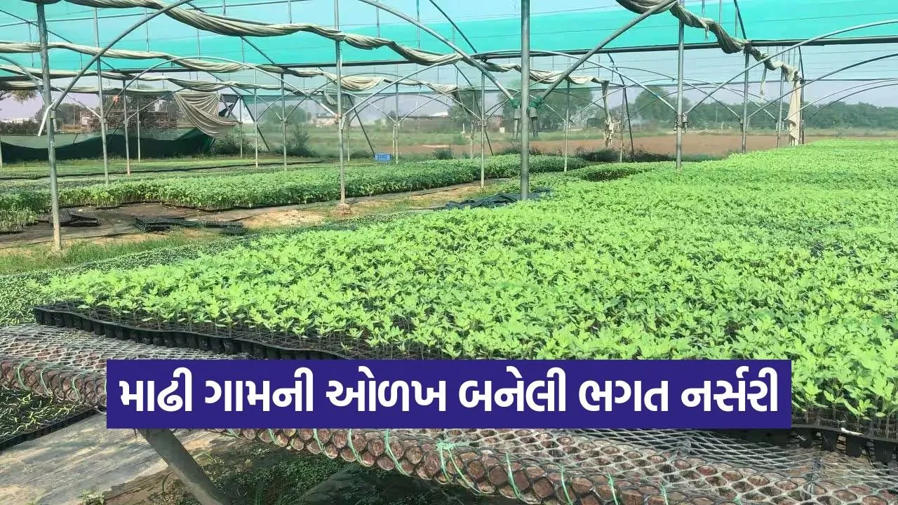 plant nursery business 1.jpg
