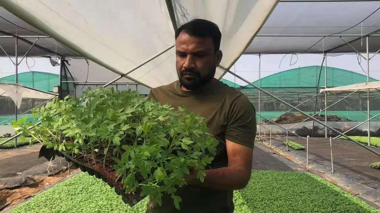 રોજગારી, વિશ્વાસ અને વિકાસનો સંગમ: ભગત નર્સરીની પ્રેરણાદાયી સફર 2 plant nursery business 2.png