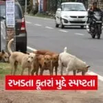 stray dog control 1