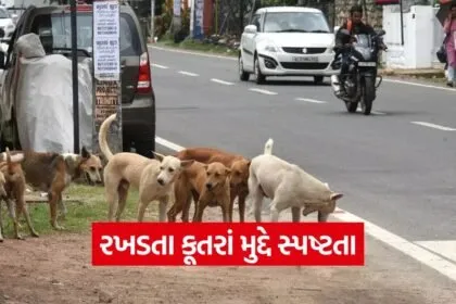 stray dog control 1