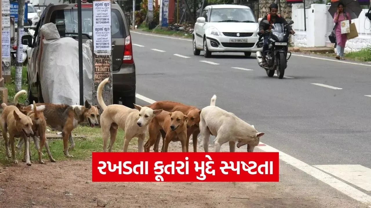 stray dog control 1.jpg