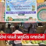 natural farming market botad 1