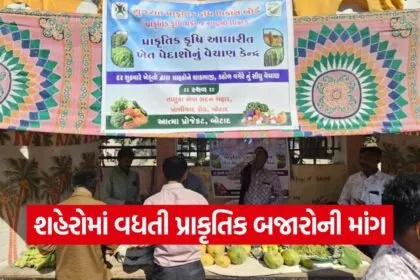 natural farming market botad 1