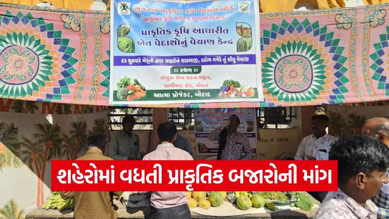 natural farming market botad 1.jpg