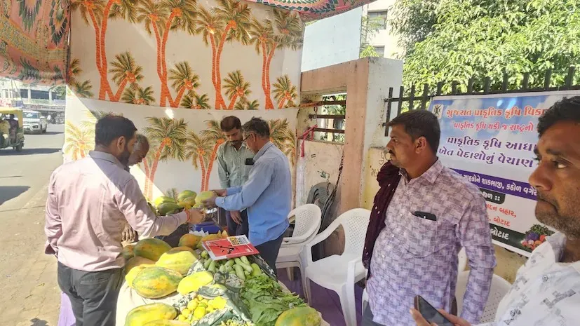 ભાવનગર અને બોટાદમાં પ્રાકૃતિક કૃષિ બજારોને સારો પ્રતિસાદ 3 natural farming market botad 1.png
