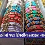 sashakt naari mela modasa 1