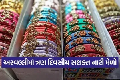 sashakt naari mela modasa 1