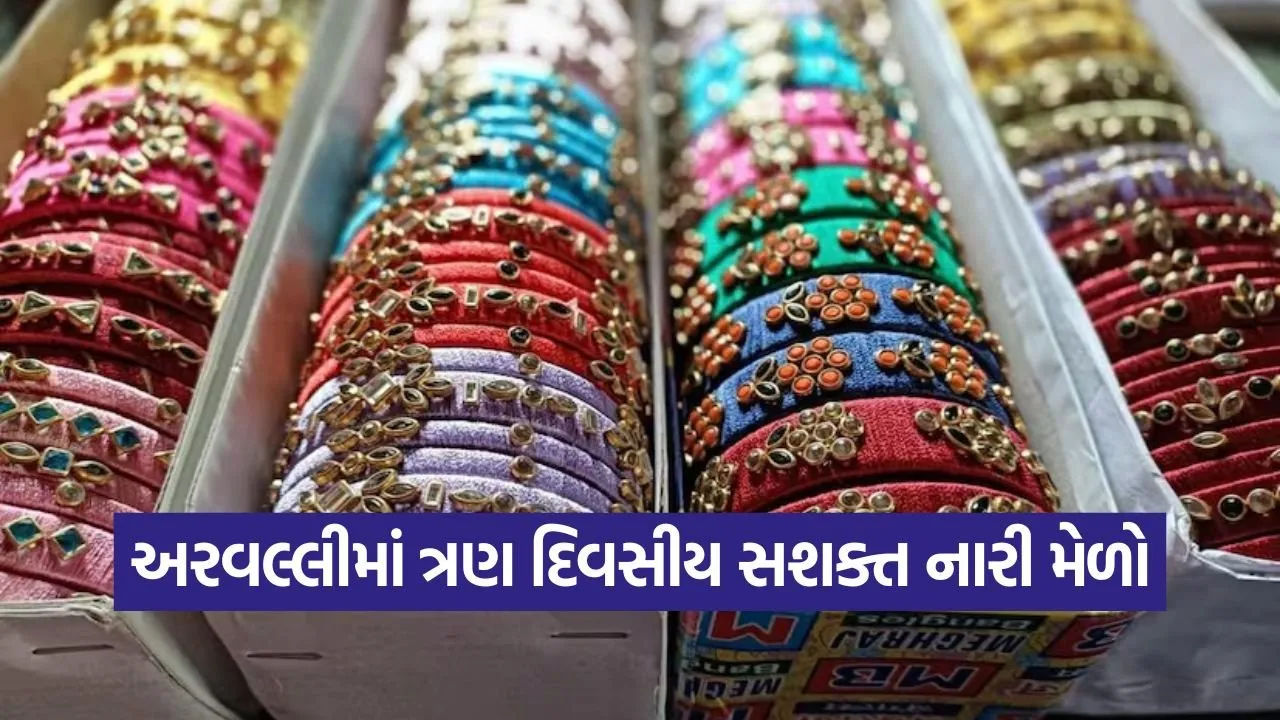 sashakt naari mela modasa 1.jpg