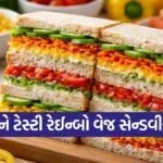 Rainbow Veg Sandwich