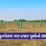 tree plantation amrutvel 1