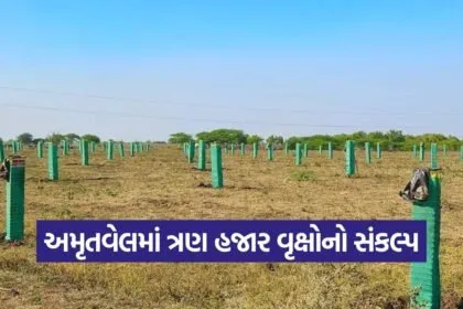 tree plantation amrutvel 1