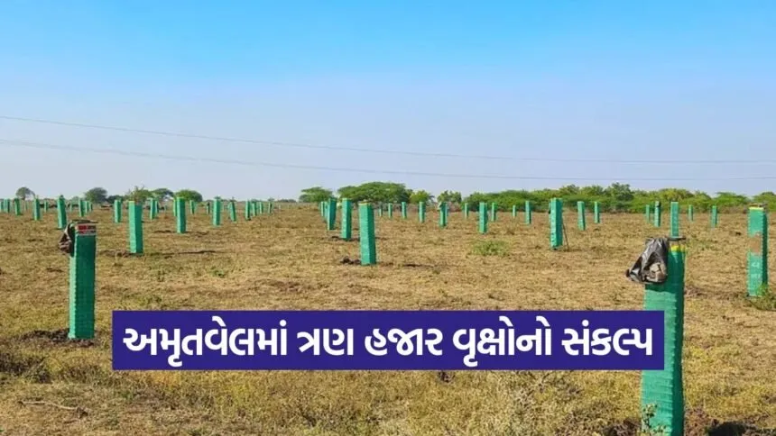 tree plantation amrutvel 1