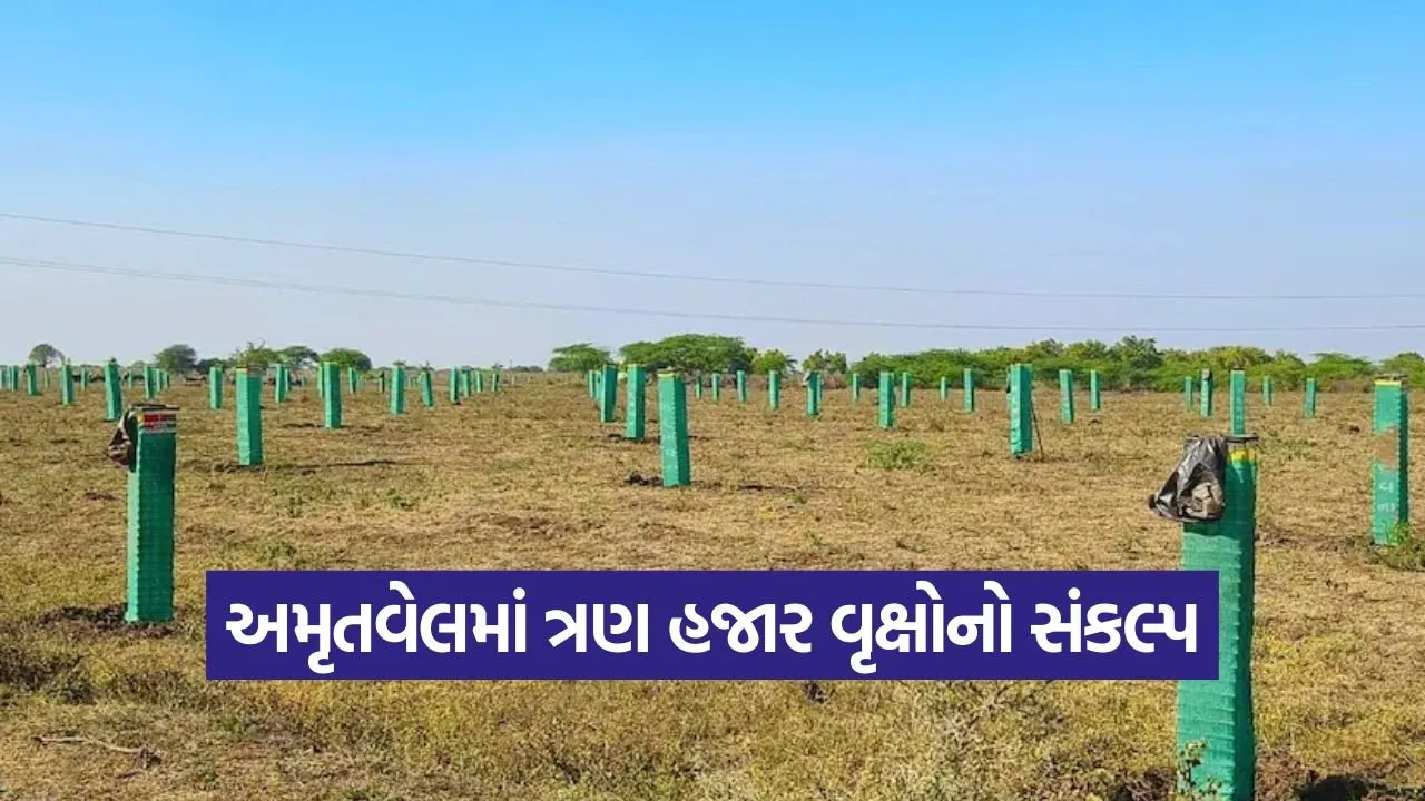 tree plantation amrutvel 1.jpg