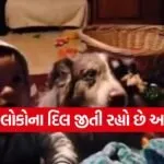 video0