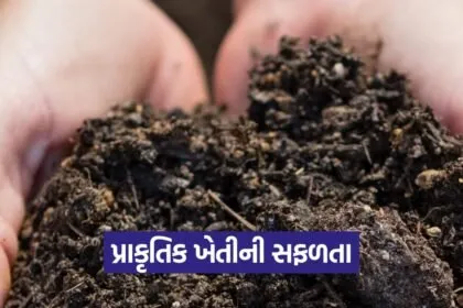 natural farming gujarat 1