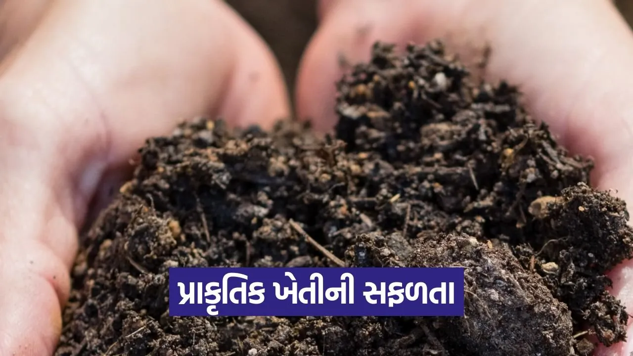 natural farming gujarat 1.jpg