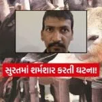 INDIA 1 37