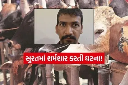 INDIA 1 37