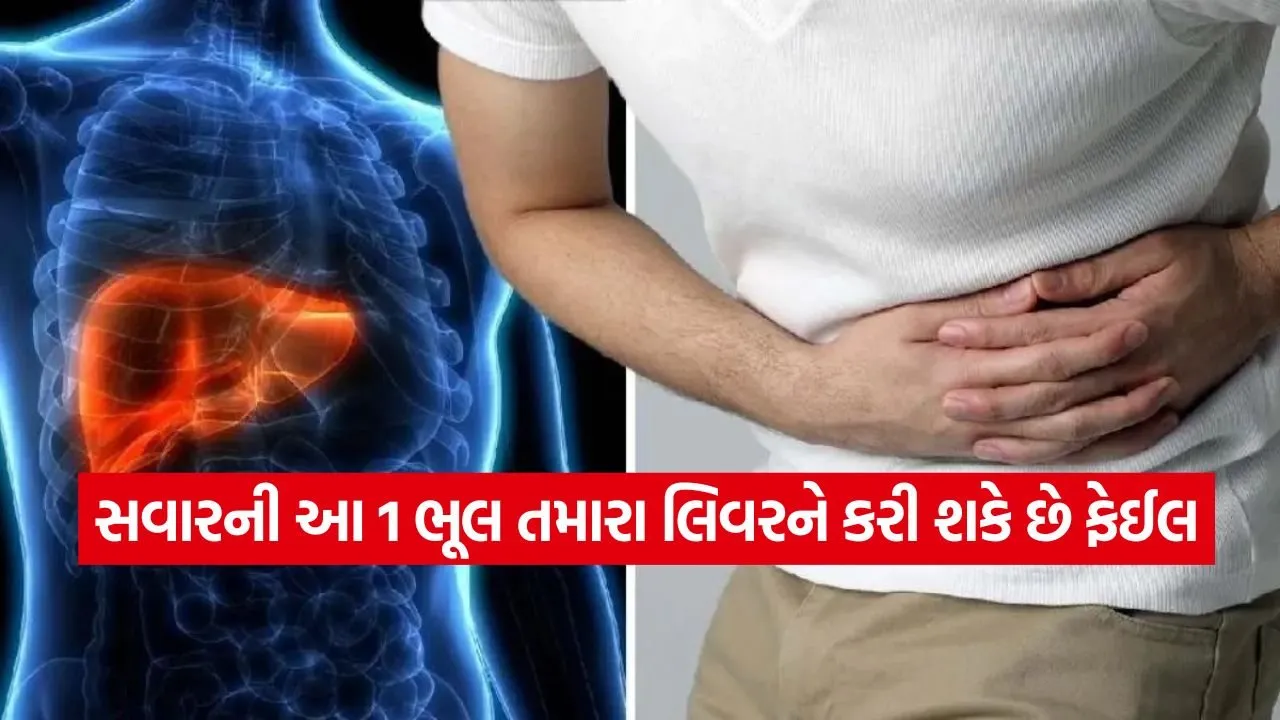 liver2.jpg