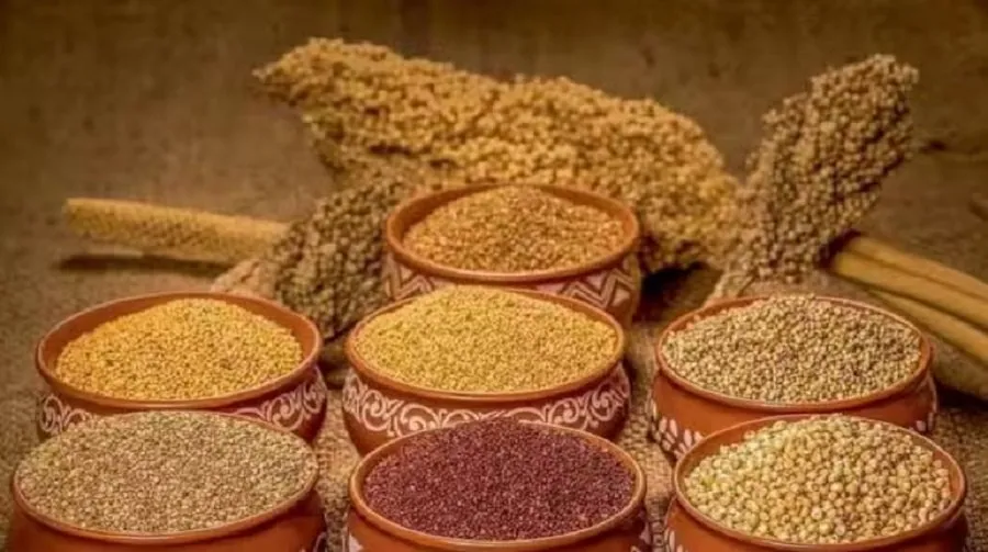 તમારા ડાયાબિટીસ પાછળ જવાબદાર છે આ વસ્તુ, જાણો કેવી રીતે કરે છે શરીરને નુકસાન 3 anaj.jpg