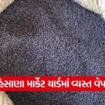 mehsana market yard prices 1