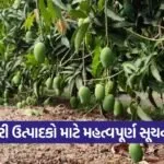 mango orchard management 1