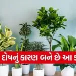 Inauspicious Plants