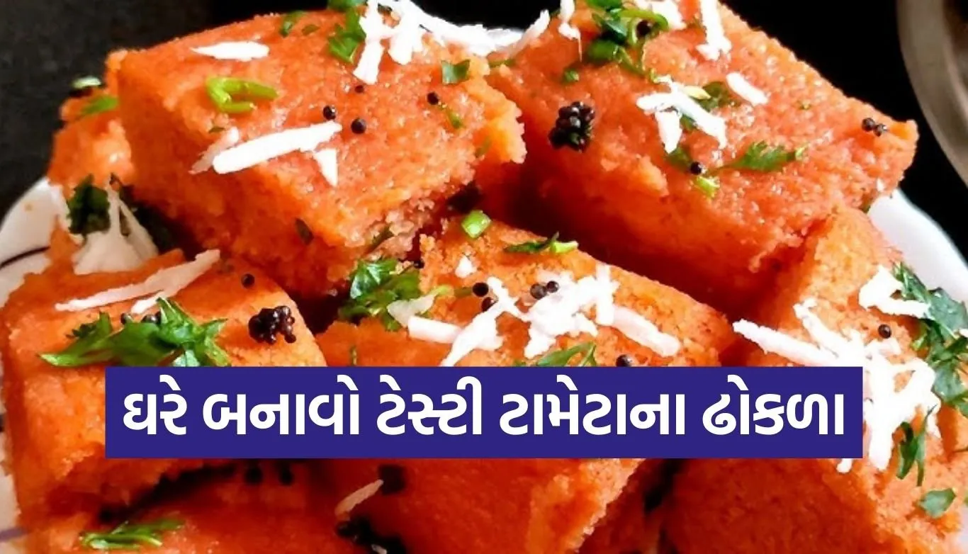 Tomato Dhokla