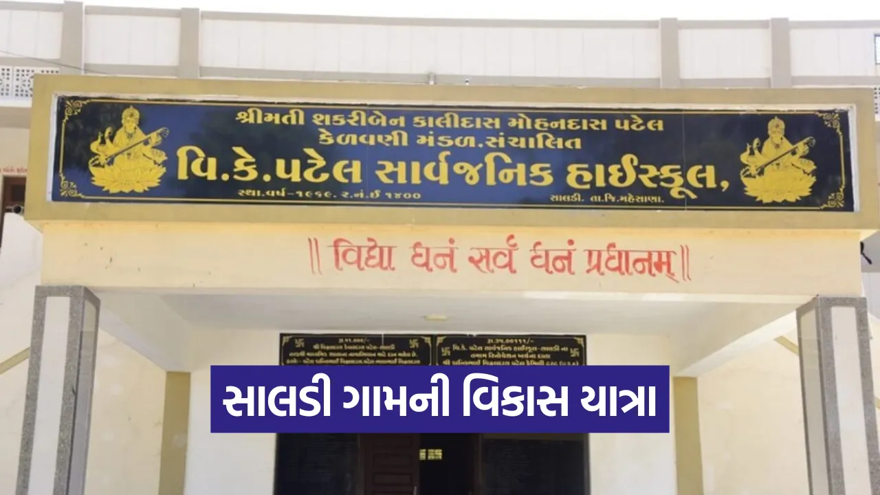 mahesana saldi village development 1.png