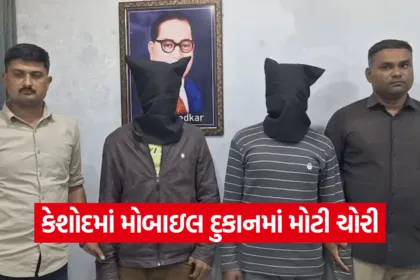 Keshod Mobile Theft Gang Arrest 2025 1