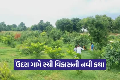 Undra Ideal Village Development 2025 1