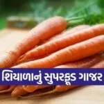 dharmishtha 1 27