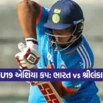 kruti 9