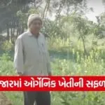 Organic Farming Success Model Gujarat 1