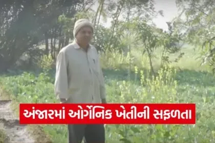 Organic Farming Success Model Gujarat 1