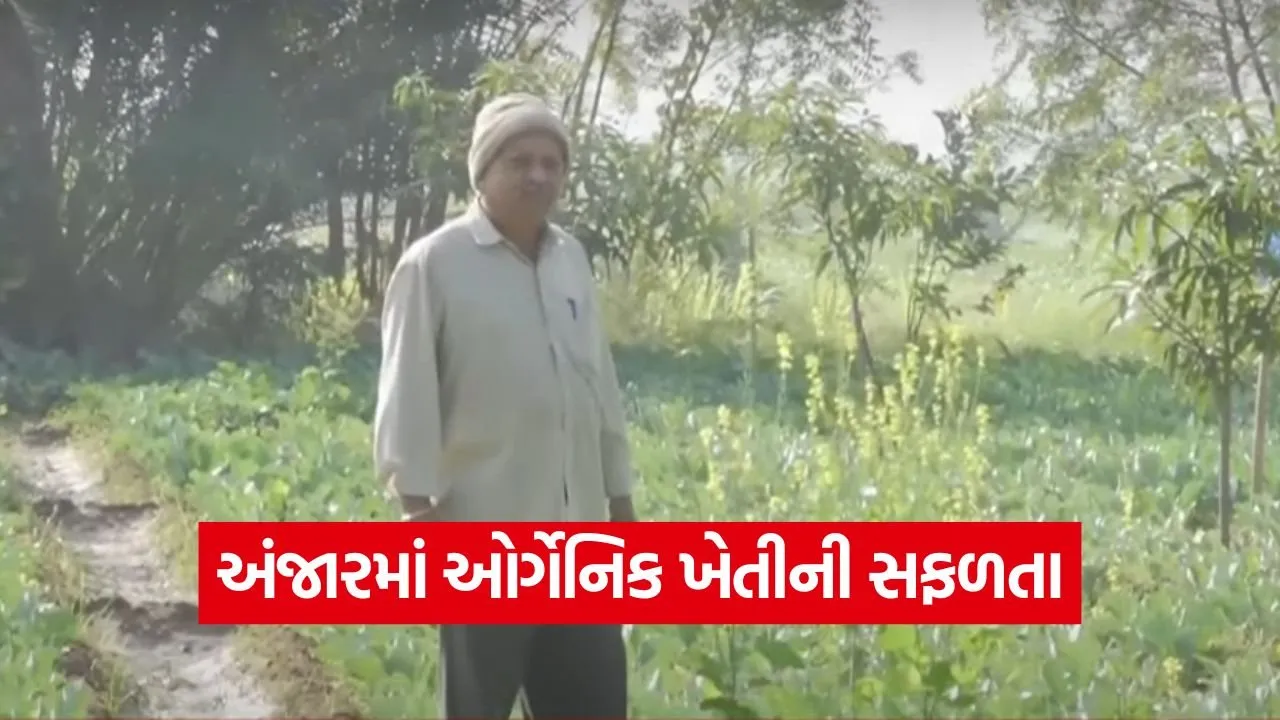 Organic Farming Success Model Gujarat 1.jpg