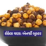 kruti 11