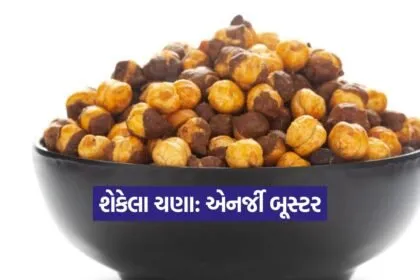 kruti 11