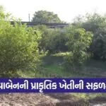 aravalli revaben natural farming 1
