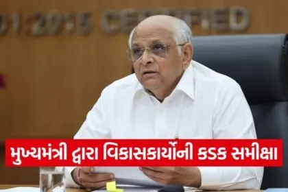 Gujarat Cabinet Development Review 1