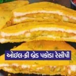 kruti 17