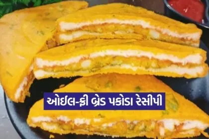 kruti 17