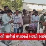 Amreli Marketing Yard Prices 1
