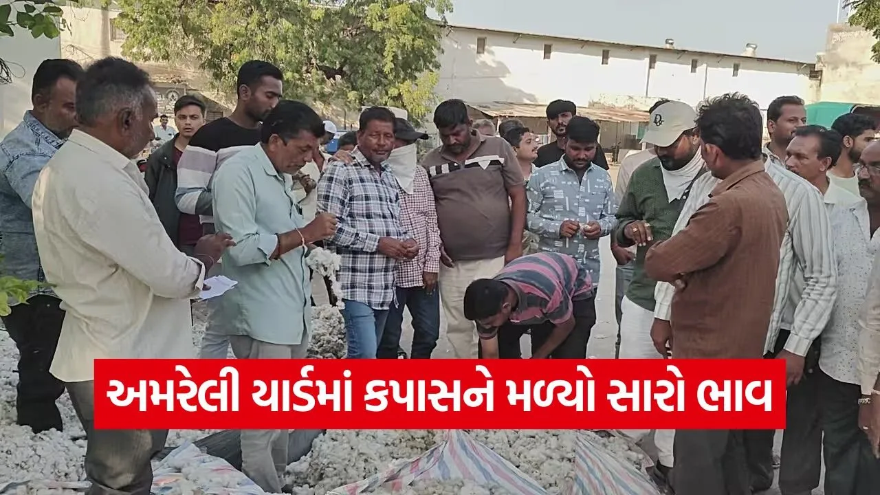 Amreli Marketing Yard Prices 1.jpg