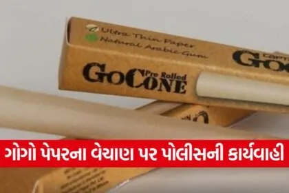 Gujarat Police Gogo Paper Raid 1