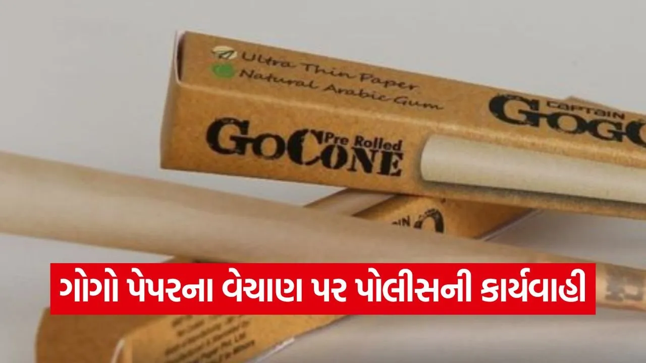 Gujarat Police Gogo Paper Raid 1.jpg