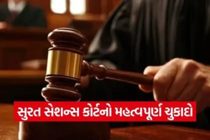 Patidar Sedition Case Verdict 1