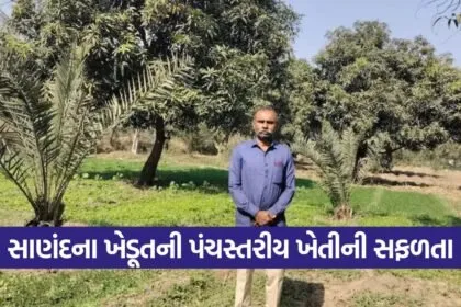 Natural Farming Five Tier Model Gujarat 1