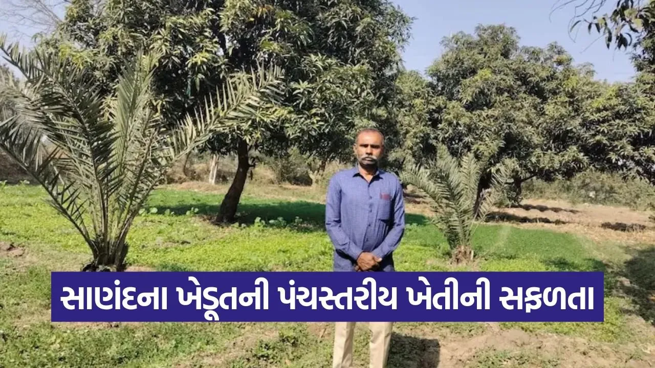 Natural Farming Five Tier Model Gujarat 1.jpg