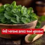 Dharmishtha 29